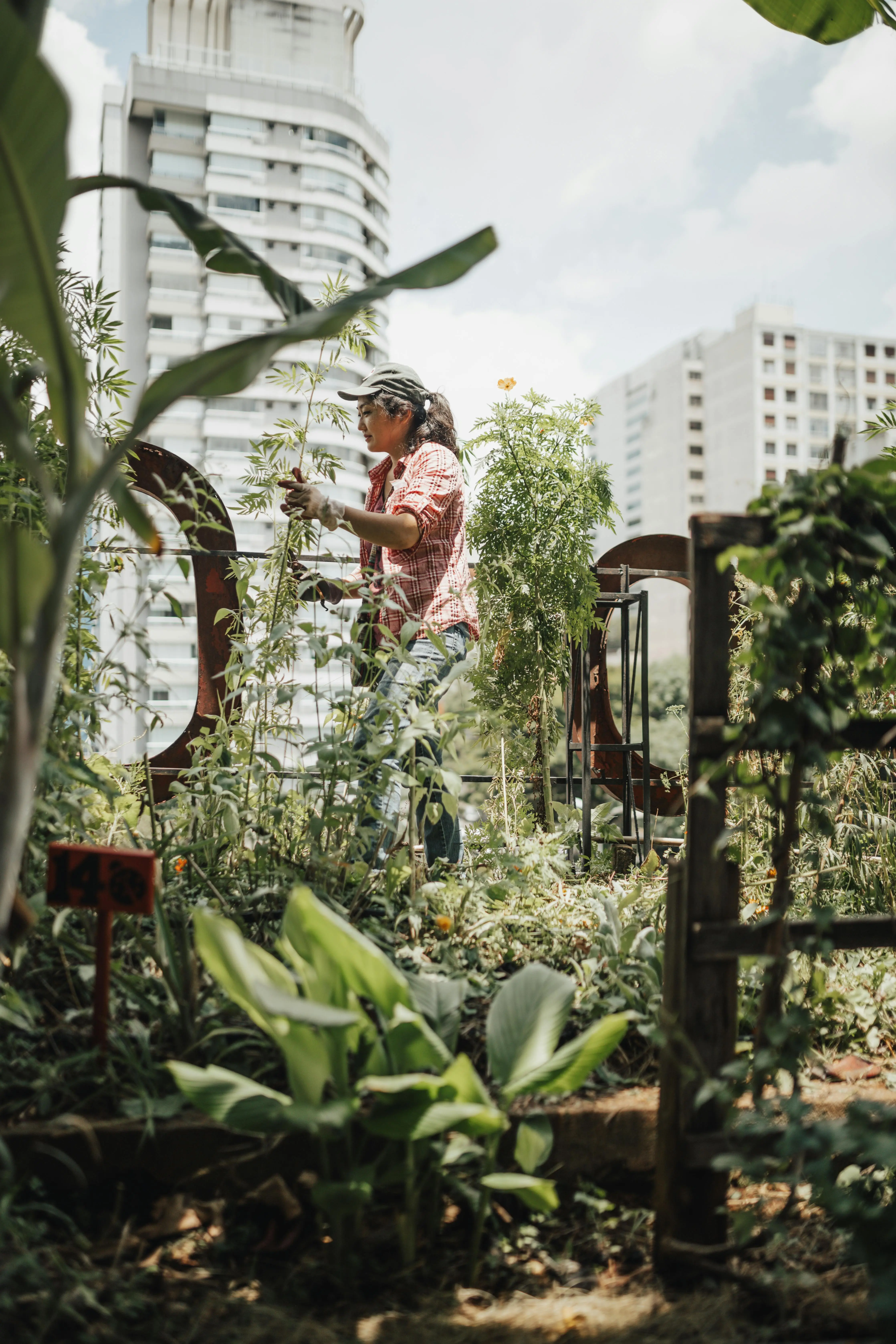 benefits-of-urban-gardening-2024-2.webp on Amazon voucher code portal